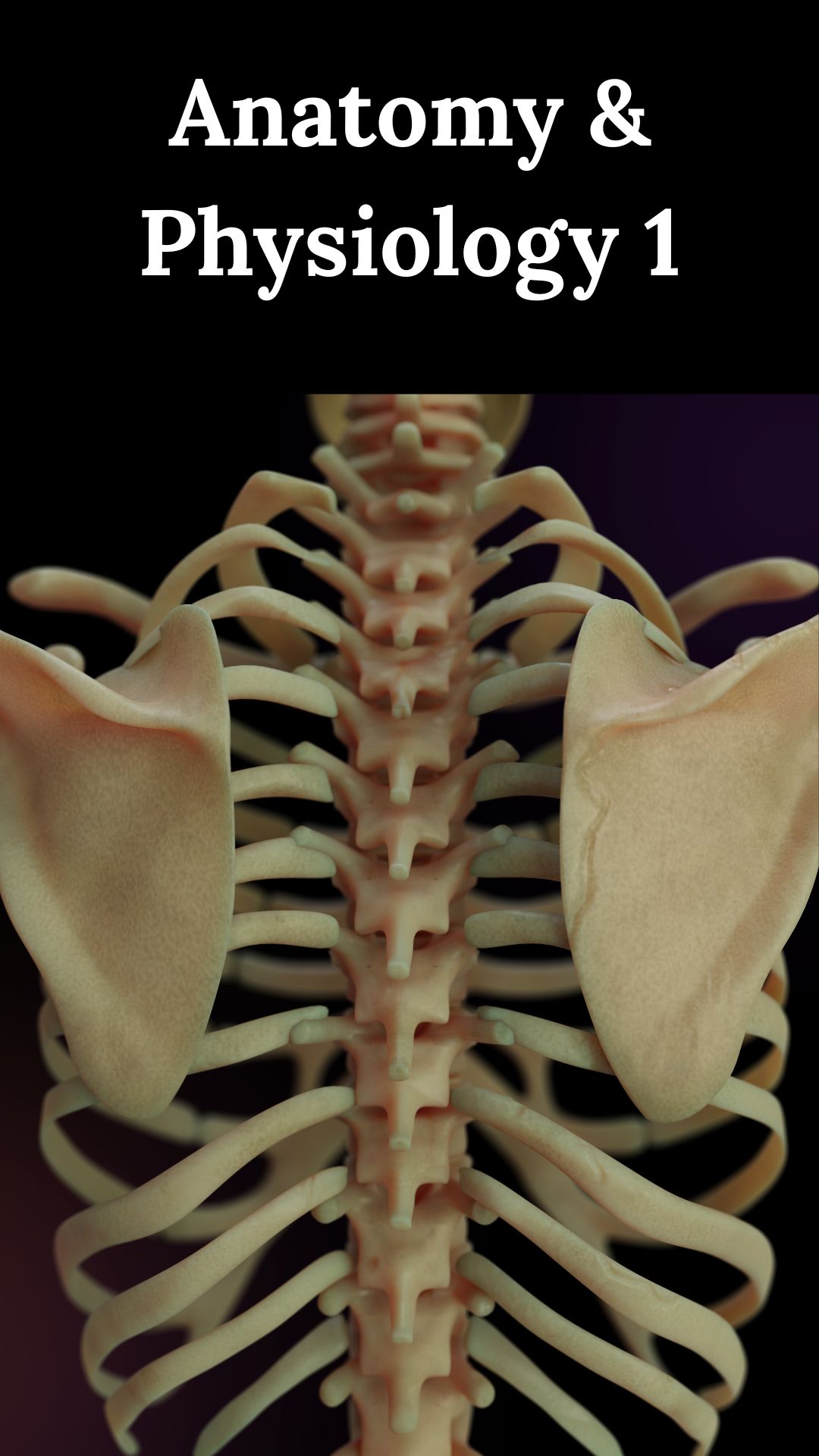 Anatomy & Physiology 1